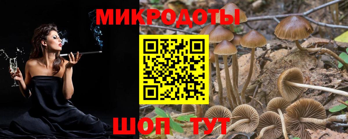 Новороссийск  Галлюциногенные грибы GOLDEN TEACHER  Вход с VPN 